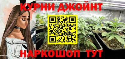стаф Кунгур