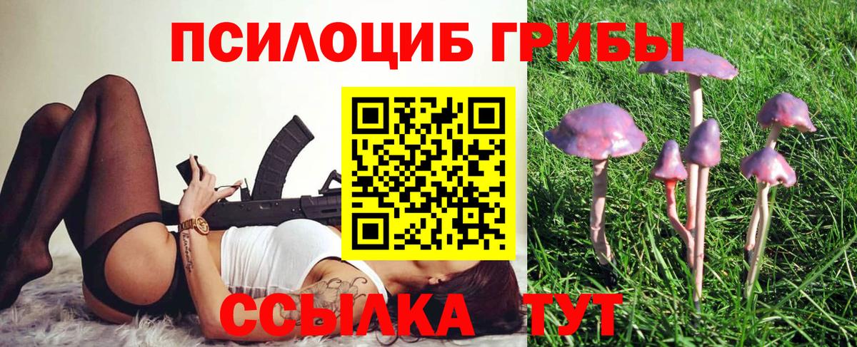 APVP Алапаевск